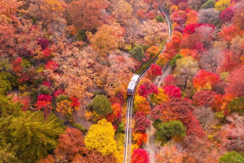 전국 가을축제 일정