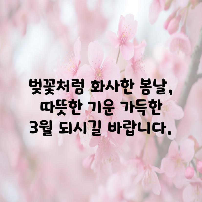 벚꽃 인사말 모음: 입체 3D 팝업카드 보내기