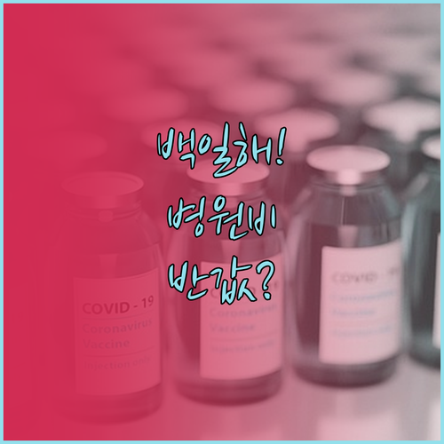 백일해 예방접종 병원별 비용 비교 및..