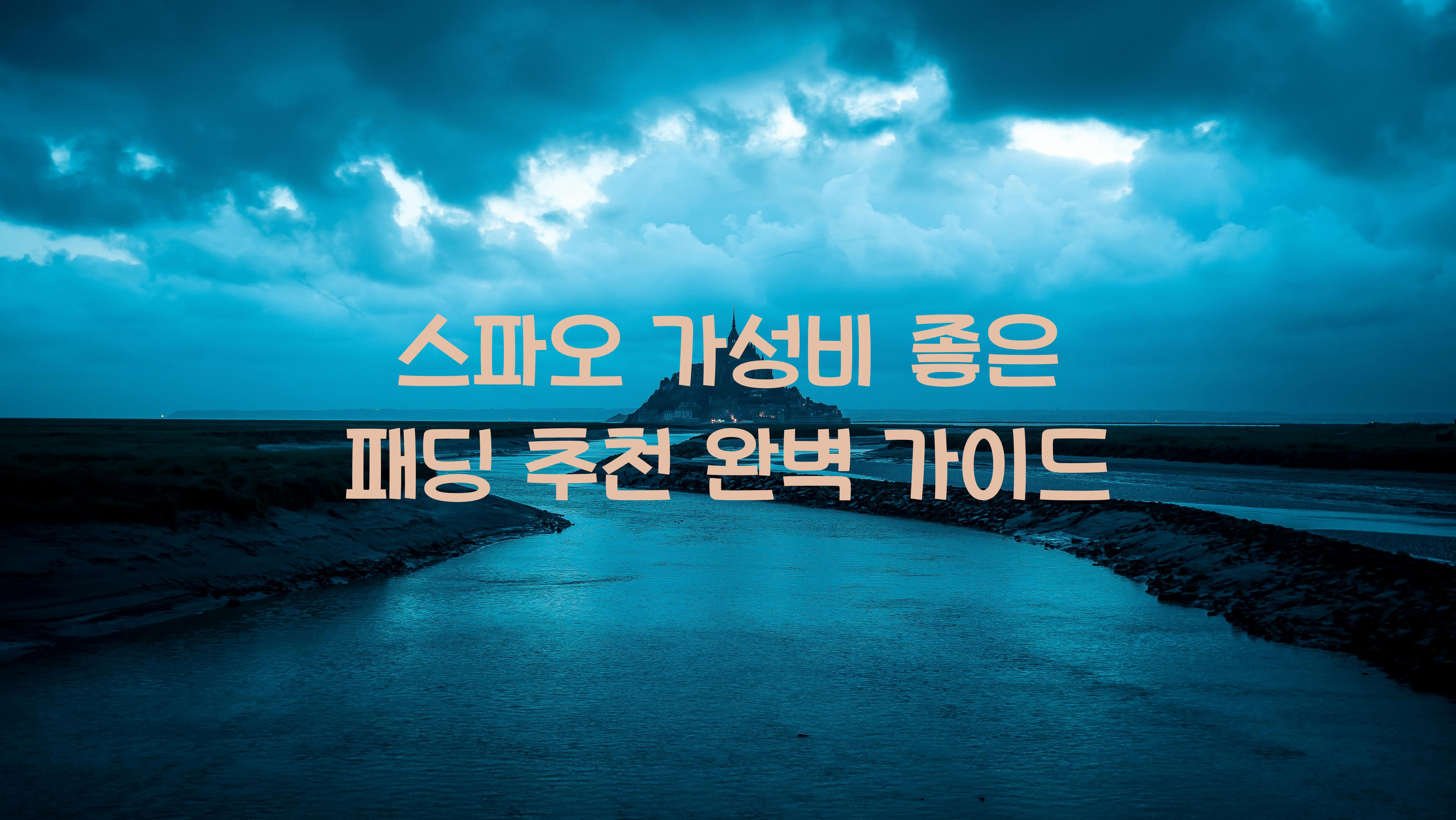 스파오 가성비 좋은 패딩 추천