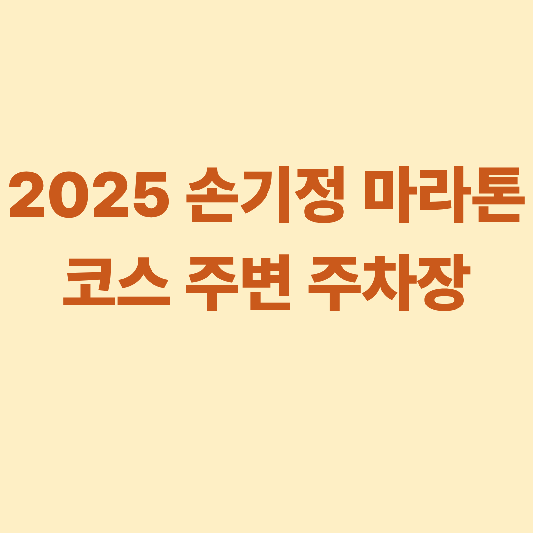 2025 손기정 마라톤 코스 주변 주차장