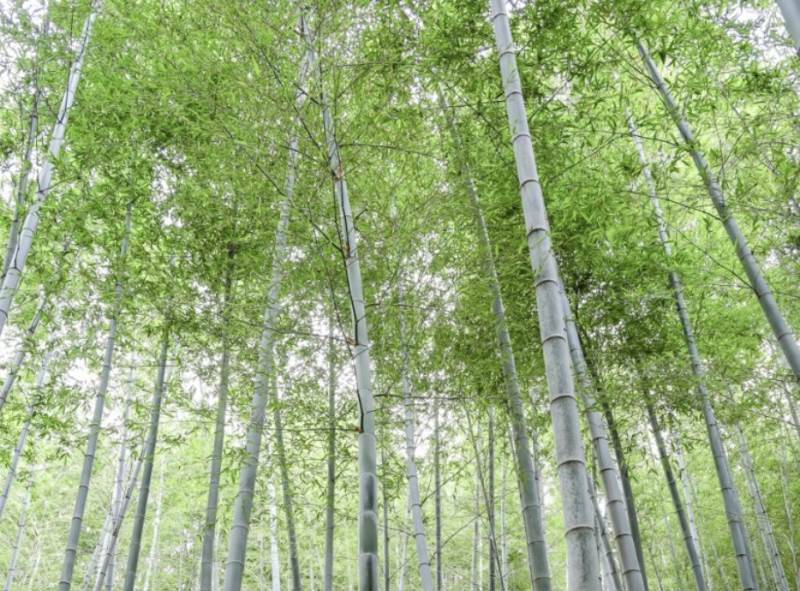 거제도-여행-드라이브-코스