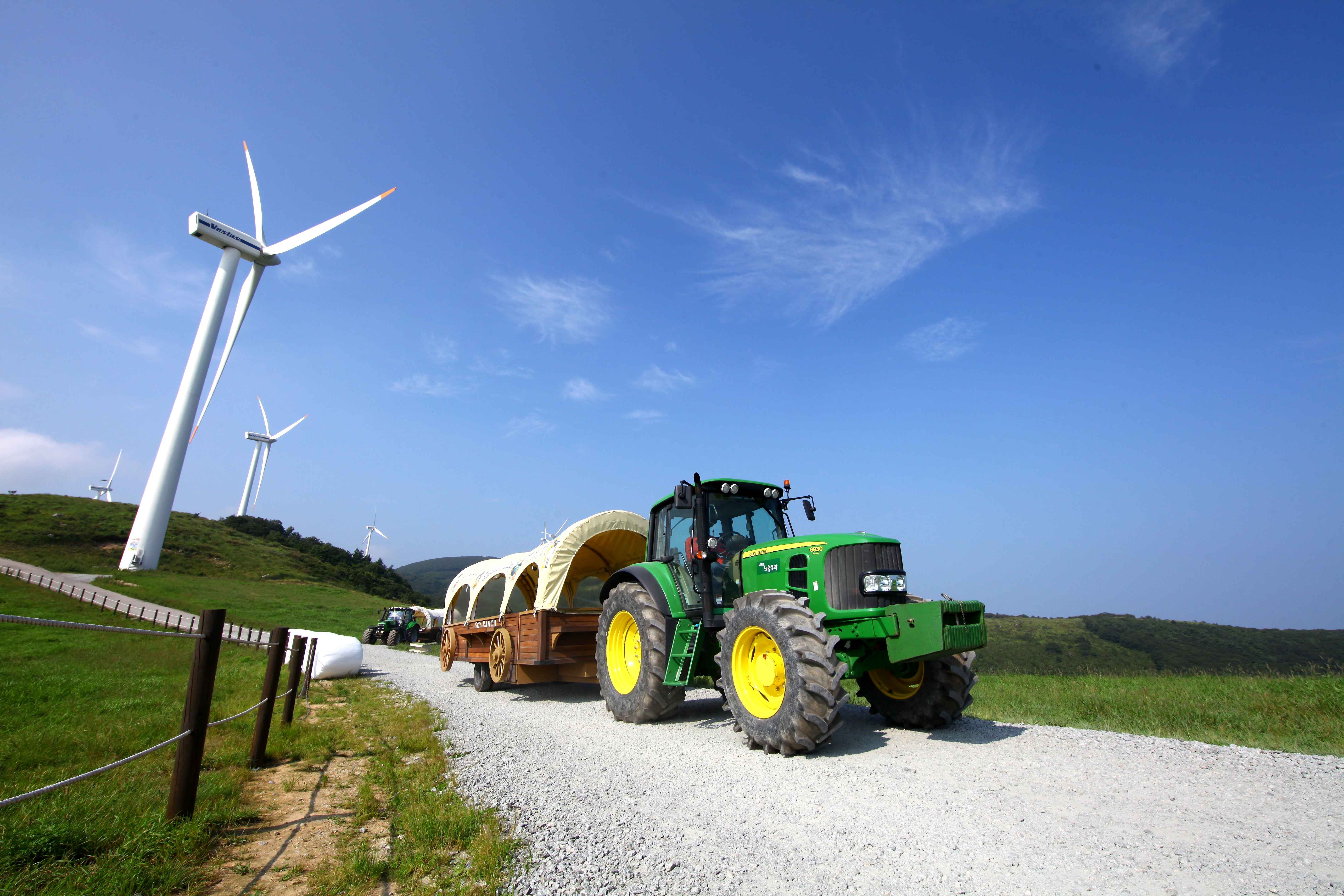 대관령 하늘목장 사진