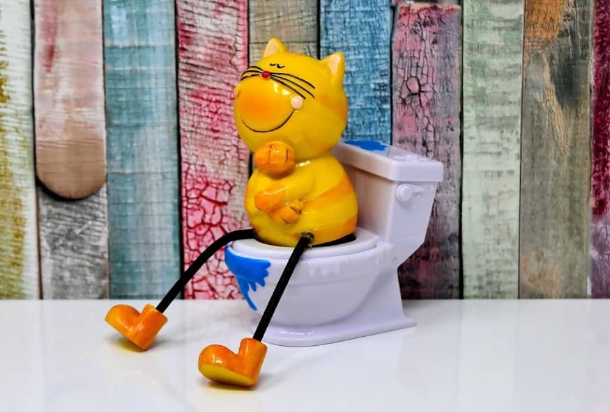 고양이 캐릭터가 변기에 앉아있는 사진