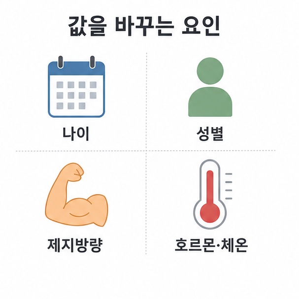 기초 대사량에 영향을 주는 요인, 나이와 성별, 제지방량, 호르몬을 아이콘으로 정리한 도표