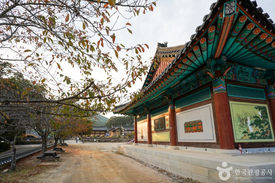 영천 가볼만한곳 BEST 10