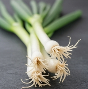 김장 쪽파 심는 시기