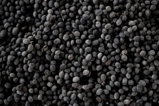 지방 배출 돕는 추천 식품 5가지! &#39;이것&#39; 먹고 뱃살 쏙 빼는 법