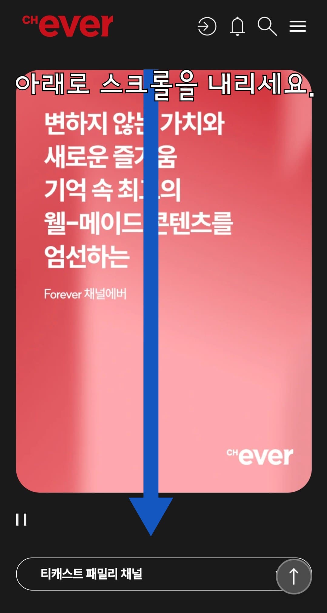 CH.-EVER(채널에버)-편성표-및-채널번호-확인하는-방법-안내-아래로-조금만-스크롤을-내리면-더-많은-정보를-확인할-수-있는데요.