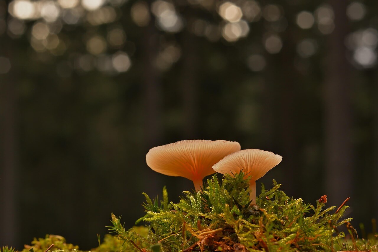 장수축하금 지역별 금액 비교