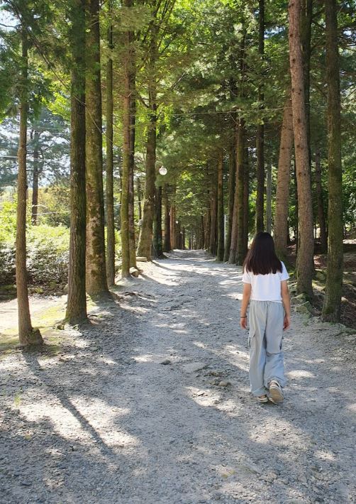 포천아버지의숲캠핑장