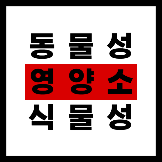 식물성 식자재와 동물성 식자재의 영양 분석