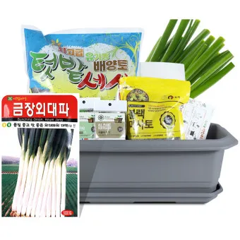 텃밭 대파 키우는 방법 파종 시기_18