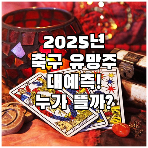 2025년 축구 유망주 대예측! 누가