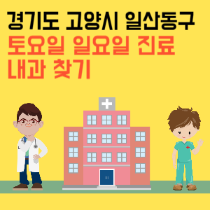 경기도 고양시 일산동구 일요일 내과 진료 병원 리스트