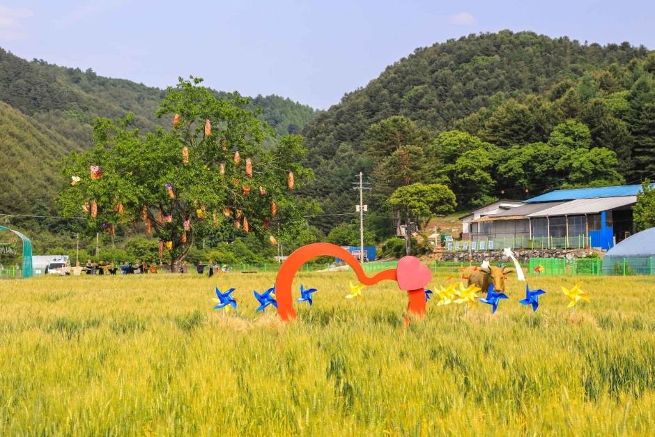 양평밀축제 기본정보