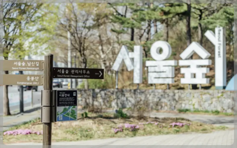서울숲 공원 주차장