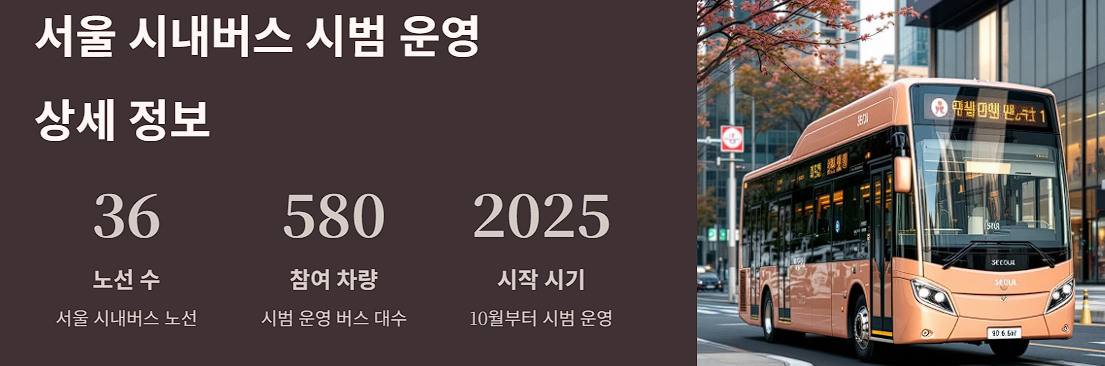 서울 시내버스 시범 운영 상세 정보