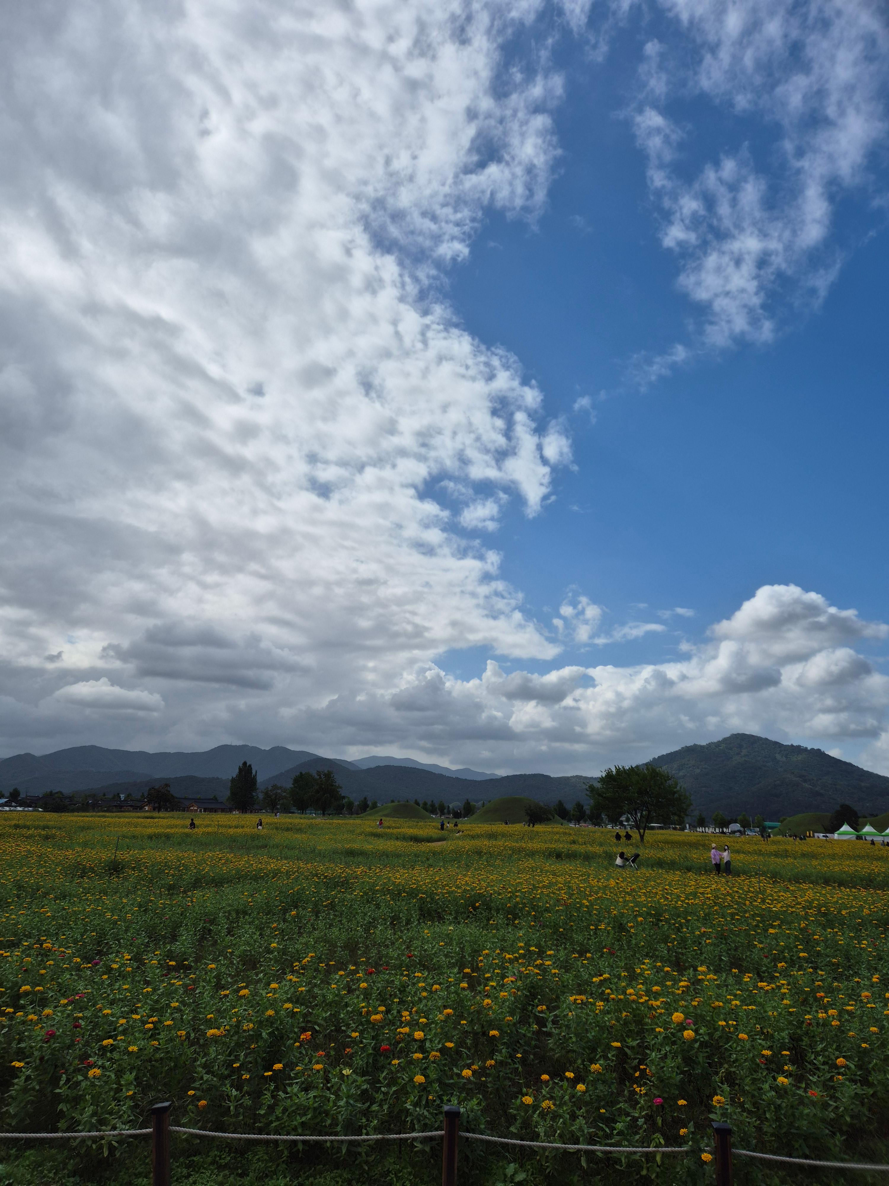 투자용 토지 매입 전 반드시 확인해야 할 3가지 서류