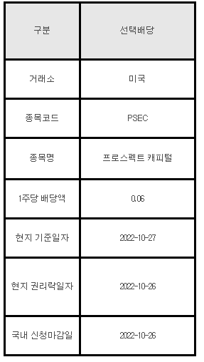 미국주식 선택배당 PSEC