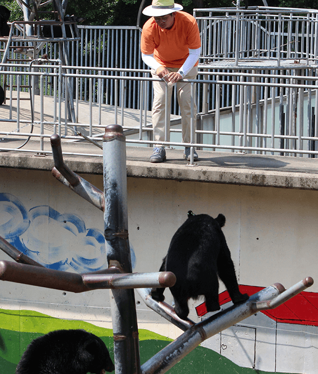 세종 베어트리파크