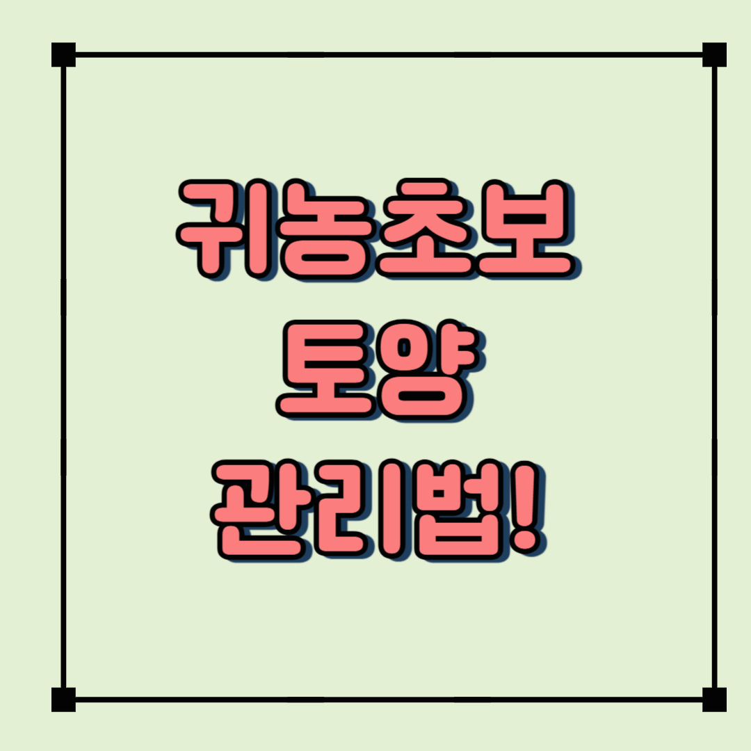 귀농 초보자를 위한 쉬운 토양 관리법: 처음부터 건강한 땅 만들기!