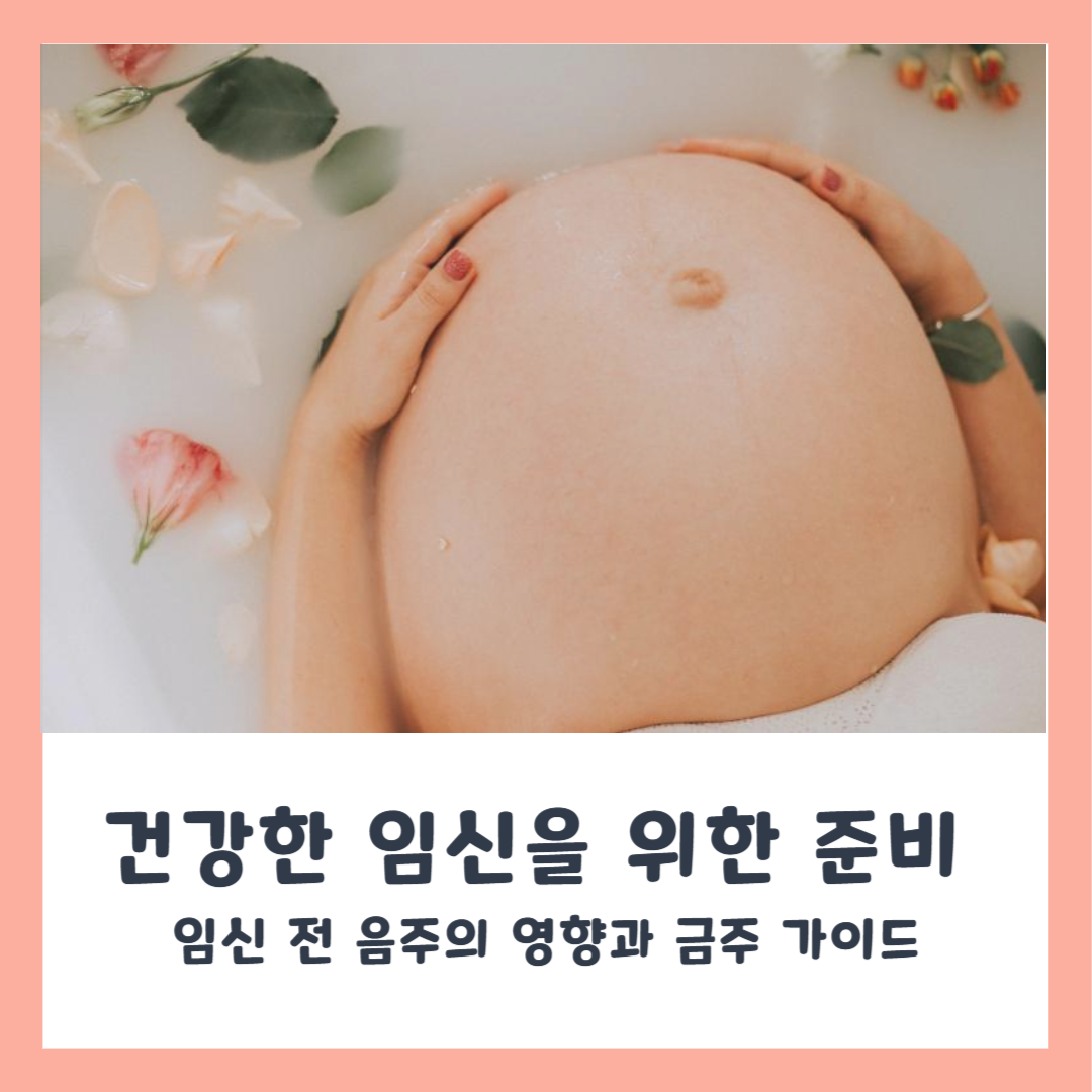 임신준비 예방접종 가이드 (건강한 임신을 위한 필수 예방접종)