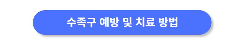버튼