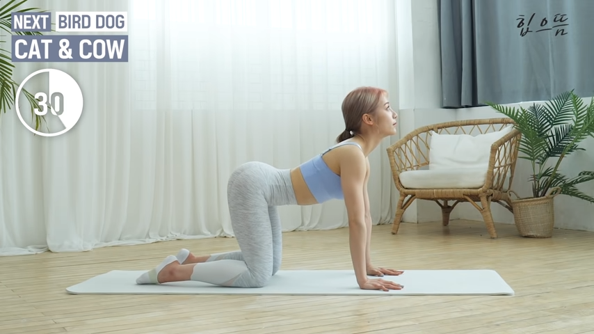 뱃살빼는최고의운동법