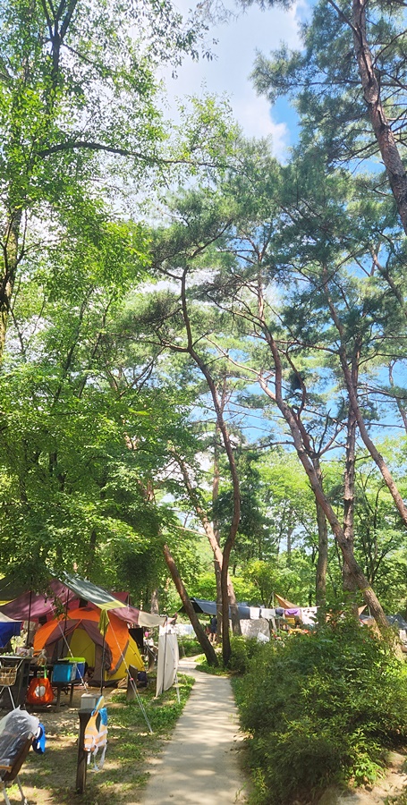 다른 여러 사이트