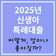 2025년 신생아 특례대출