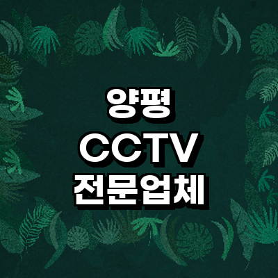 양평군 cctv