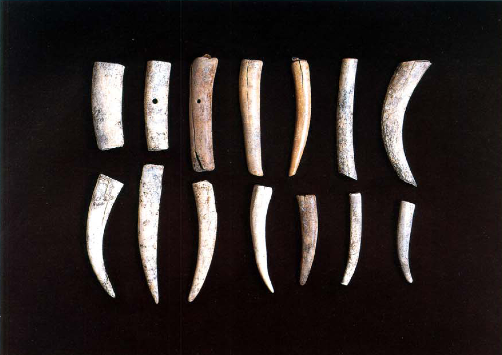 동삼동 패총 전시관