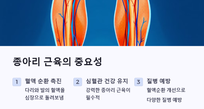 노년층의 종아리 근육 관리 중요성