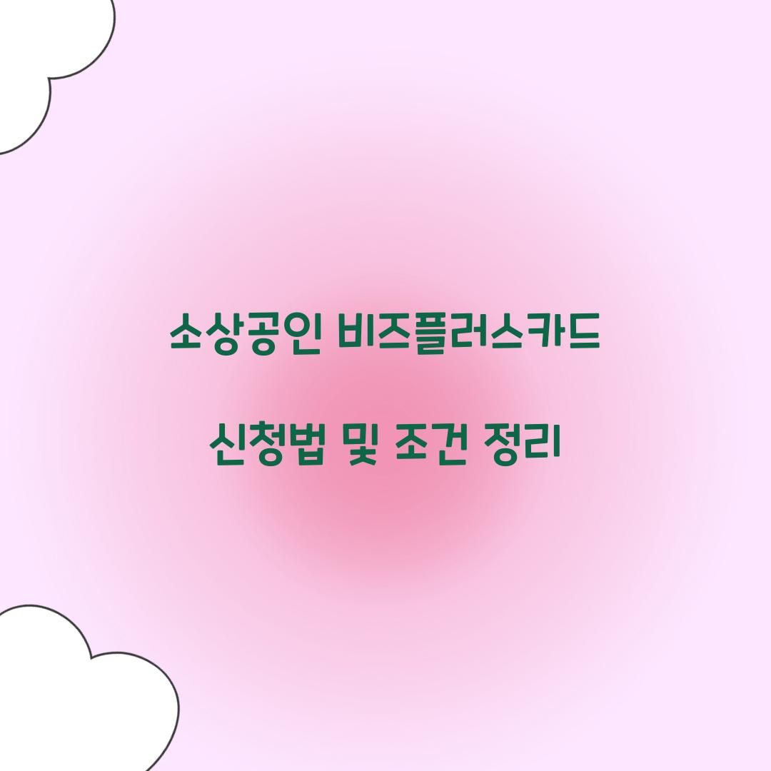 소상공인 비즈플러스카드