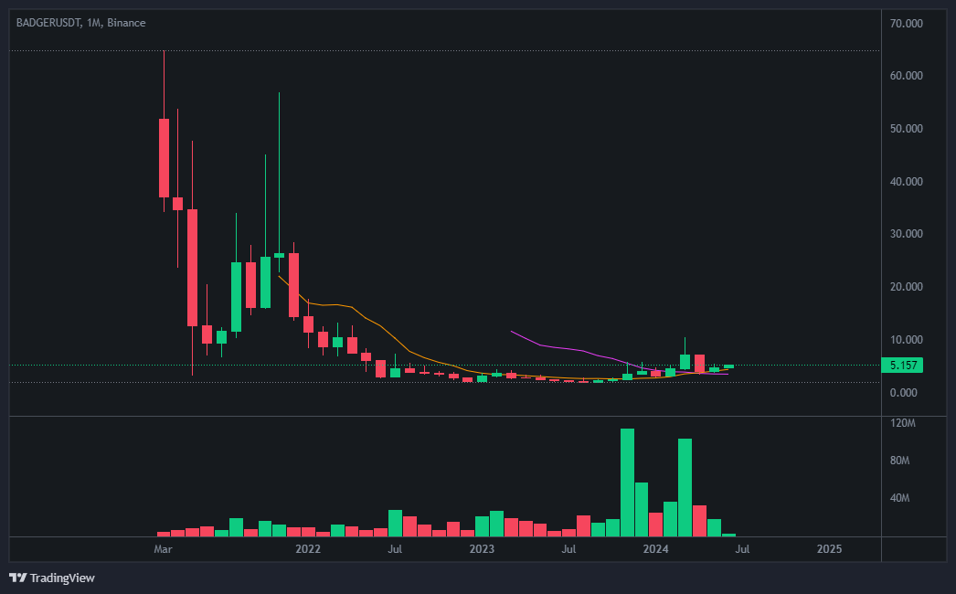 뱃저다오 코인 가격 현황