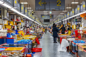 6시 내고향에 방영된 부산 남포동 로컬 맛집