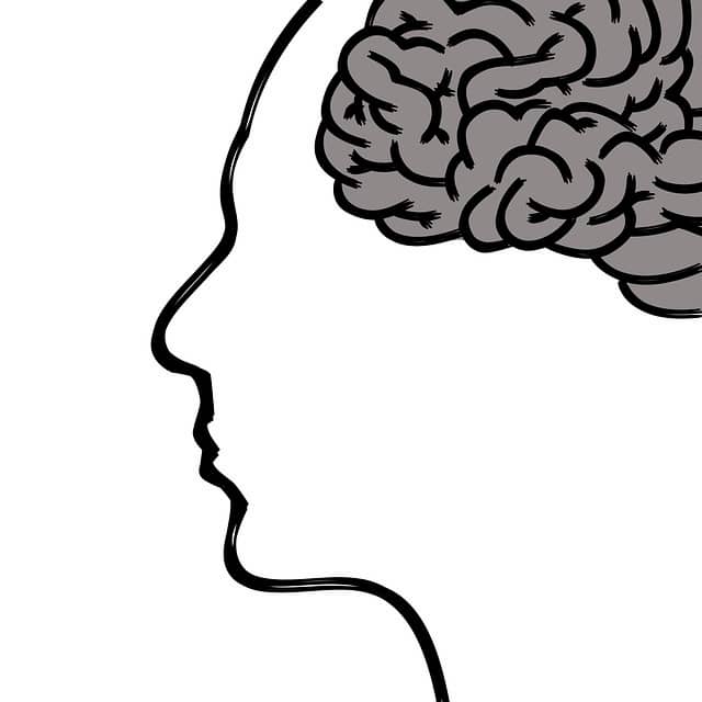 기억력의 비밀, 뇌는 어떻게 정보를 저장할까?