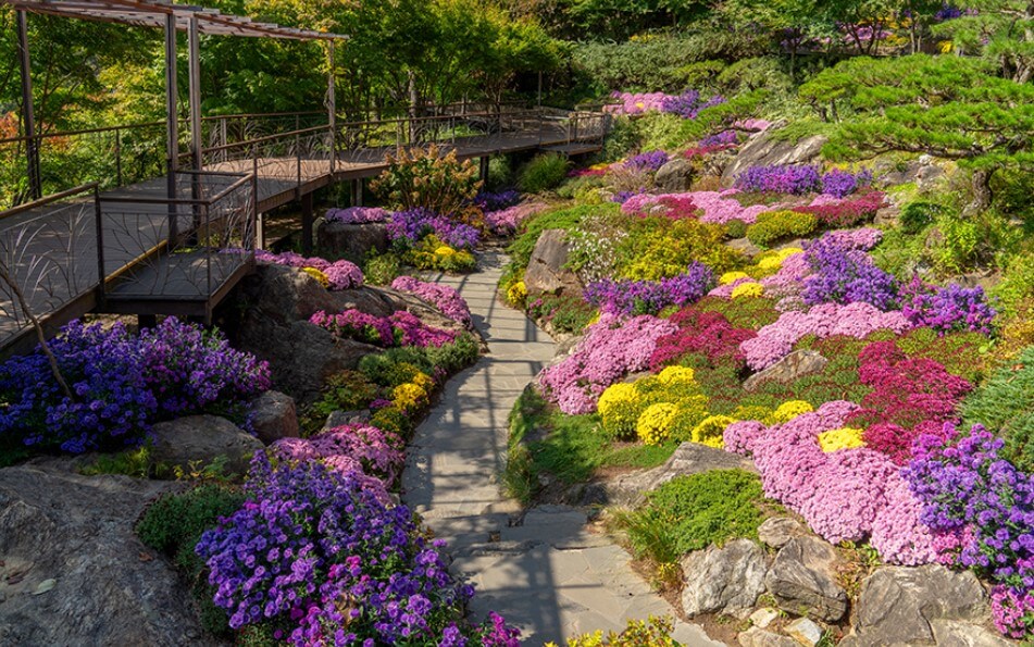 화담숲 모노레일 예약 꿀팁