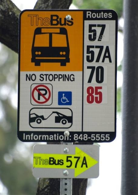 하와이-오아후-더버스-정류장