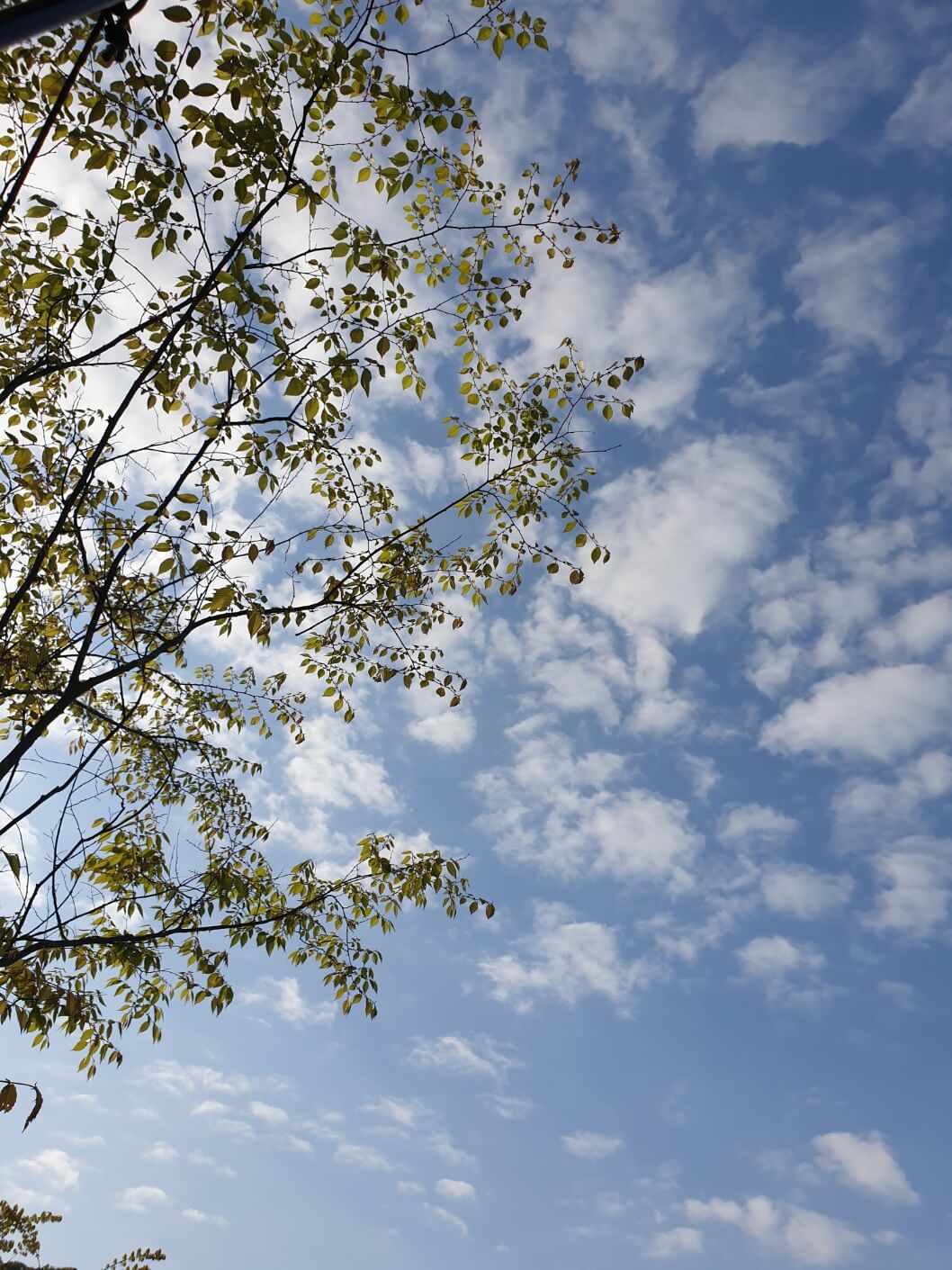 가평 캠핑장 하늘