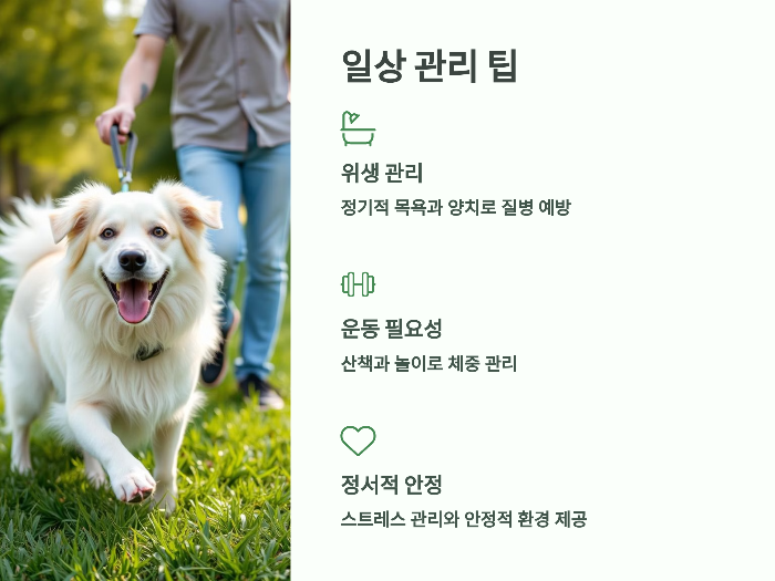 일상 관리 팁
