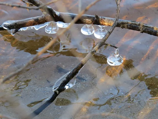 대구 날씨예보 주간날씨 실시간 CCTV 날씨 보는 법까지_1