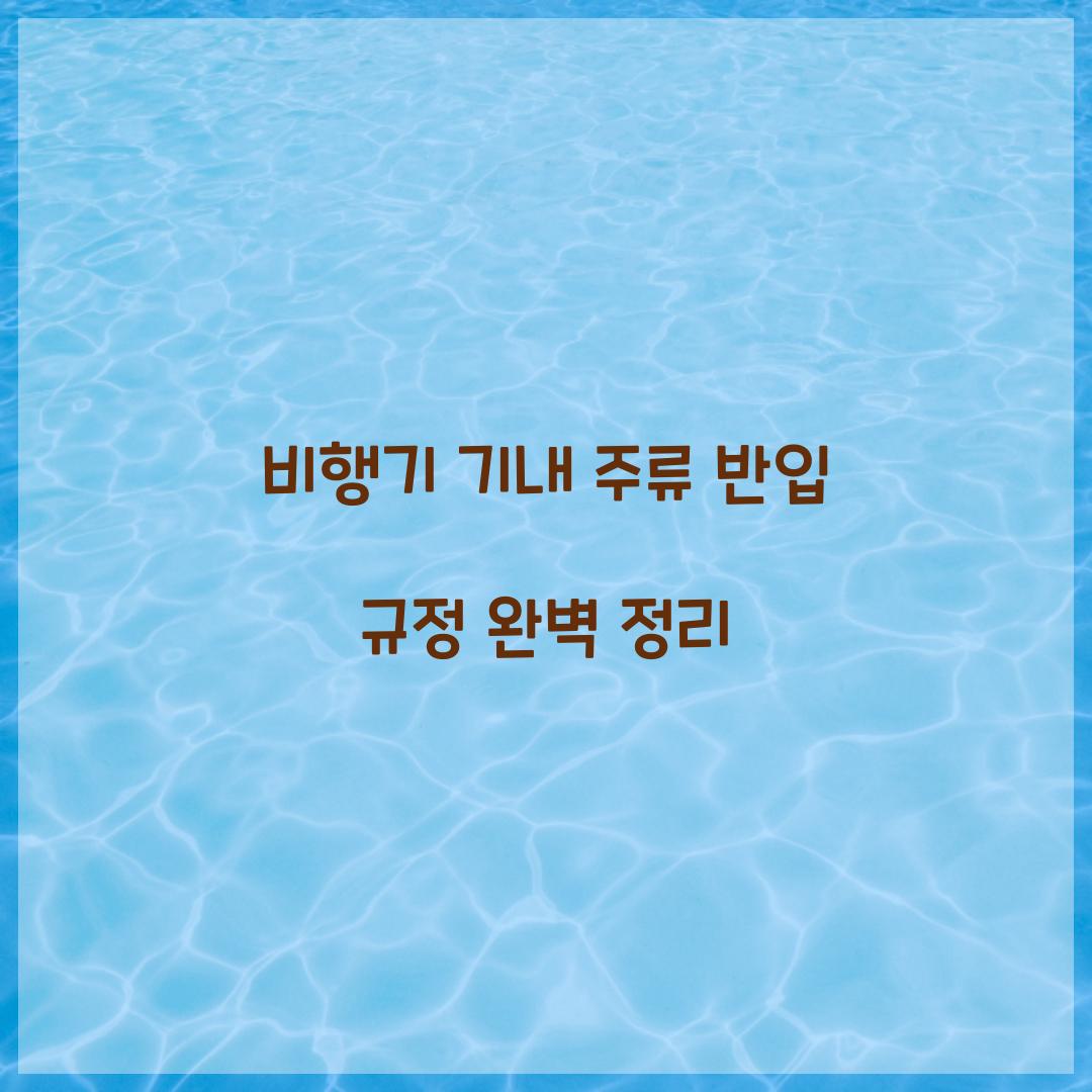 비행기 기내 주류 반입