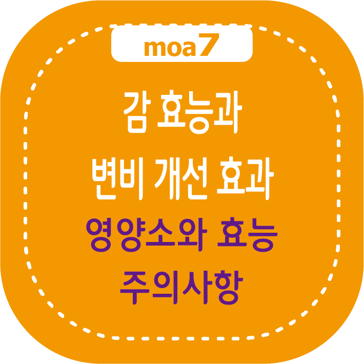 감 효능과 변비 개선 효과