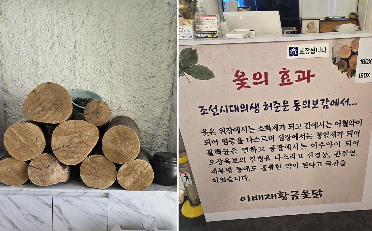 옻나무와 옻의 효과