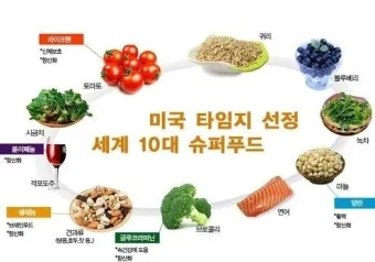 슈퍼푸드 종류 효능_13