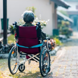 당귀 효능 부작용 뿌리 고르는법