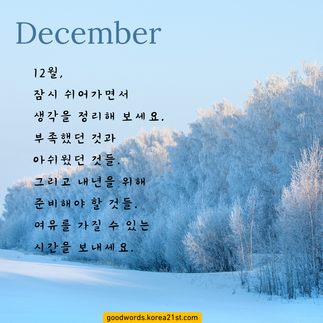 12월 인사말 이미지 문구 모음집 안부 문자 메세지