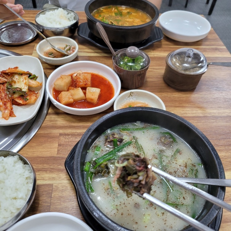 6시내고향 청주 북부 시장 순대국밥 순댓국 맛집 추천 